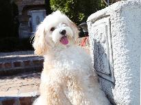 【那須 春旅2食付】春休みファミリー応援♪小学生宿泊代半額プラン。みんな一緒に那須時間を満喫しよう!