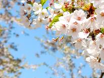 《桜めぐり花めぐり》“咲花”に春が来た♪花の名所をめぐるお花見旅行へ出かけよう！