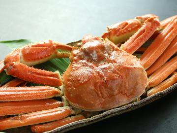 【越前産セイコガニ１杯】と茹でカニ１杯付き+海鮮コースでご満悦！敦賀の味覚を食べ尽くす