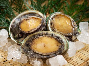 【あわび×紅ズワイガニ】季節限定の贅沢コラボ♪仲買人の店主厳選☆旬の魚会席