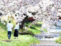 ≪春を楽しもう！≫ふくしま桜巡りの旅♪1泊2食付★旬の食材を使った和会席×源泉掛流し温泉[花見酒付]