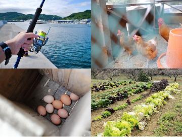 【地元食材を味わう旅】壱岐の自然に触れ、安心安全な食材を採り、味わう！体験型プラン♪