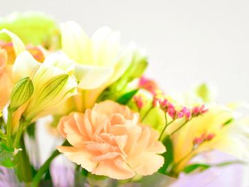 ◆記念日・誕生日に◆ 花束orケーキ選べるプレゼント♪特別な日を贅沢にお祝い。アニバーサリープラン