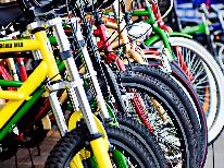 【レンタサイクル】南知多一周可能な本気の電気自転車レンタル付◇２食付