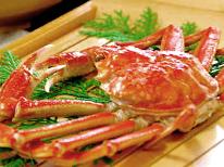 【新鮮海の幸×活ズワイガニ】日本海の味覚勢ぞろい！