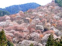 【3/22～4/20限定】オリジナル鴨鍋プラン【貸切眺望風呂付】