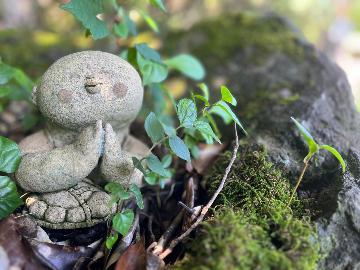 【ファミリー歓迎】自炊可能なキッチン付♪周りを気にせず自由に広々使える貸別荘★小学生半額・幼児無料★
