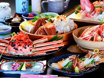 【越前ガニ竹コース★+゜】タグ付越前ガニを食べよう！茹でガニ＋カニちり＋地魚姿造りに舌鼓♪