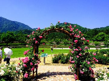 【送迎特典付】大規模公園◆クラフトパークで遊ぼう！遊んだ後は温泉で癒しを♪［お部屋食］