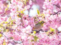 ◆河津桜★下田港直送の新鮮魚介をお部屋食でゆっくり!天然温泉は貸切OK♪《スタンダード2食付き》