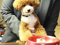 ☆ワンOne旅行☆愛犬と一緒に夕食控えめお気軽膳１人旅【平日限定】
