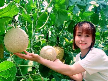 【HP限定価格】【10名様～団体様専用日帰り★メロン食べ放題♪】久美浜砂丘メロン狩り体験と【丹後海鮮会席】≪源泉100％天然温泉入浴付≫