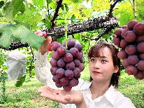 【HP限定価格】秋限定特典付♪味自慢★京丹後の秋の味わう♪ぶどう狩り体験と【丹後旬彩御膳】≪1泊2食付≫