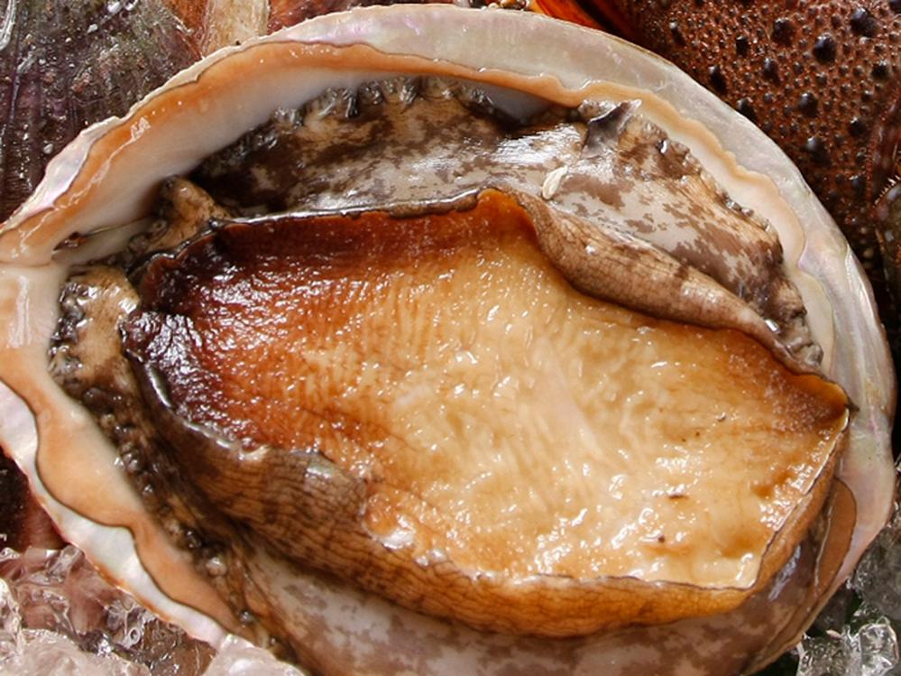 【 ちょっぴり贅沢に 】鮑の踊り焼き+金目鯛