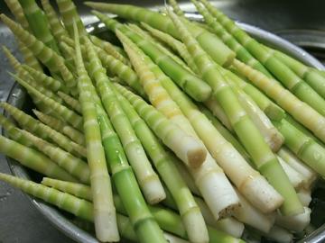 【大人気！北信州の味覚】なんと自家栽培！根曲り竹を食べられるプラン♪≪２食付≫