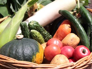 ★自家製野菜【お土産特典付き】秋の味覚♪収穫の秋到来★得さんちの収穫祭プラン♪≪１泊２食付≫