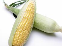 夏休み☆☆野菜収穫体験・甘くて美味しい【トウモロコシ】のお土産付☆☆（1泊2食付）