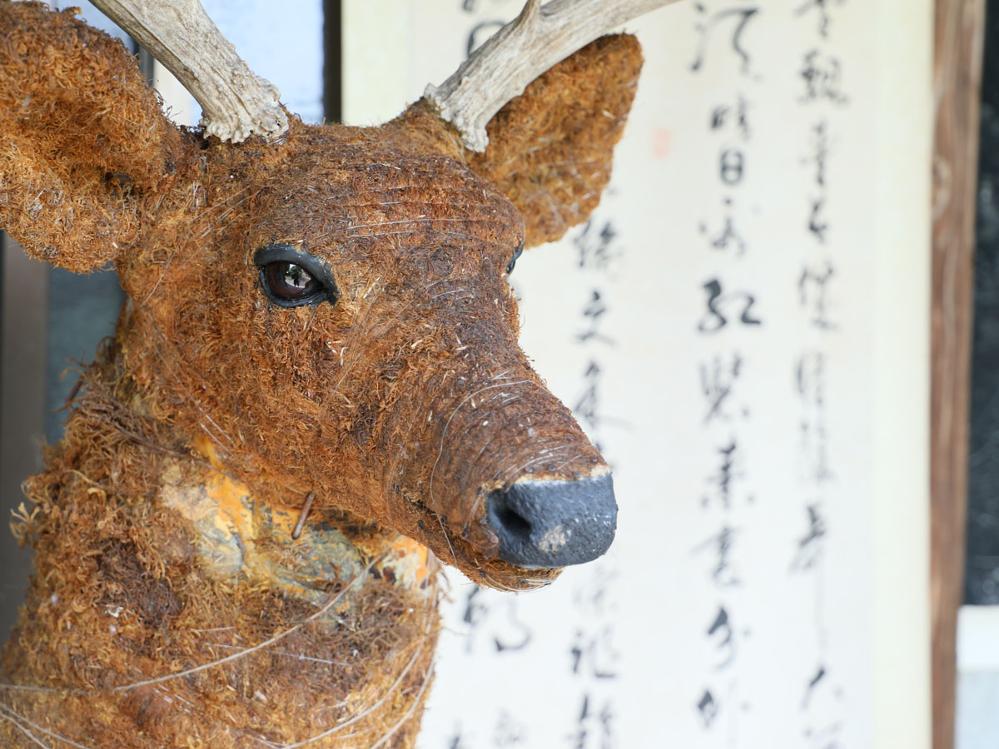 【朝食付き】岐阜の味を楽しむ「美濃加茂豚汁定食」