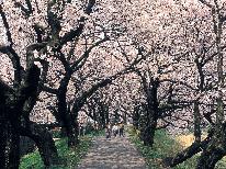 【ふくい桜まつり】【1泊2食付き】３名以上でさらにお得(＾＾)♪≪特価★6,400円～≫
