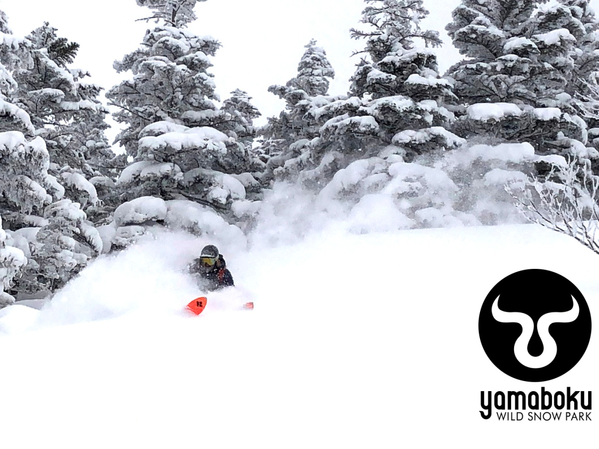 【冬スタンダード】＜徒歩0分YAMABOKUワイルドスノーパーク＞＆＜奥山田温泉＞1泊2食付
