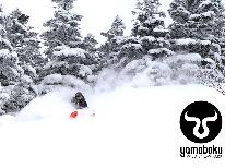 【冬スタンダード】<徒歩0分YAMABOKUワイルドスノーパーク>&<奥山田温泉>1泊2食付