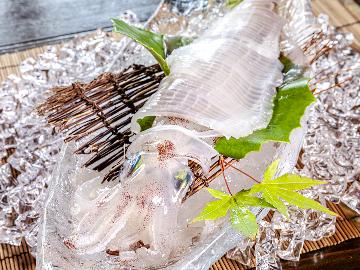 【HP限定価格】【初夏の新定番】京丹後イカ 漁火～ISARIBI～　日本海産の烏賊を味わう期間限定コース