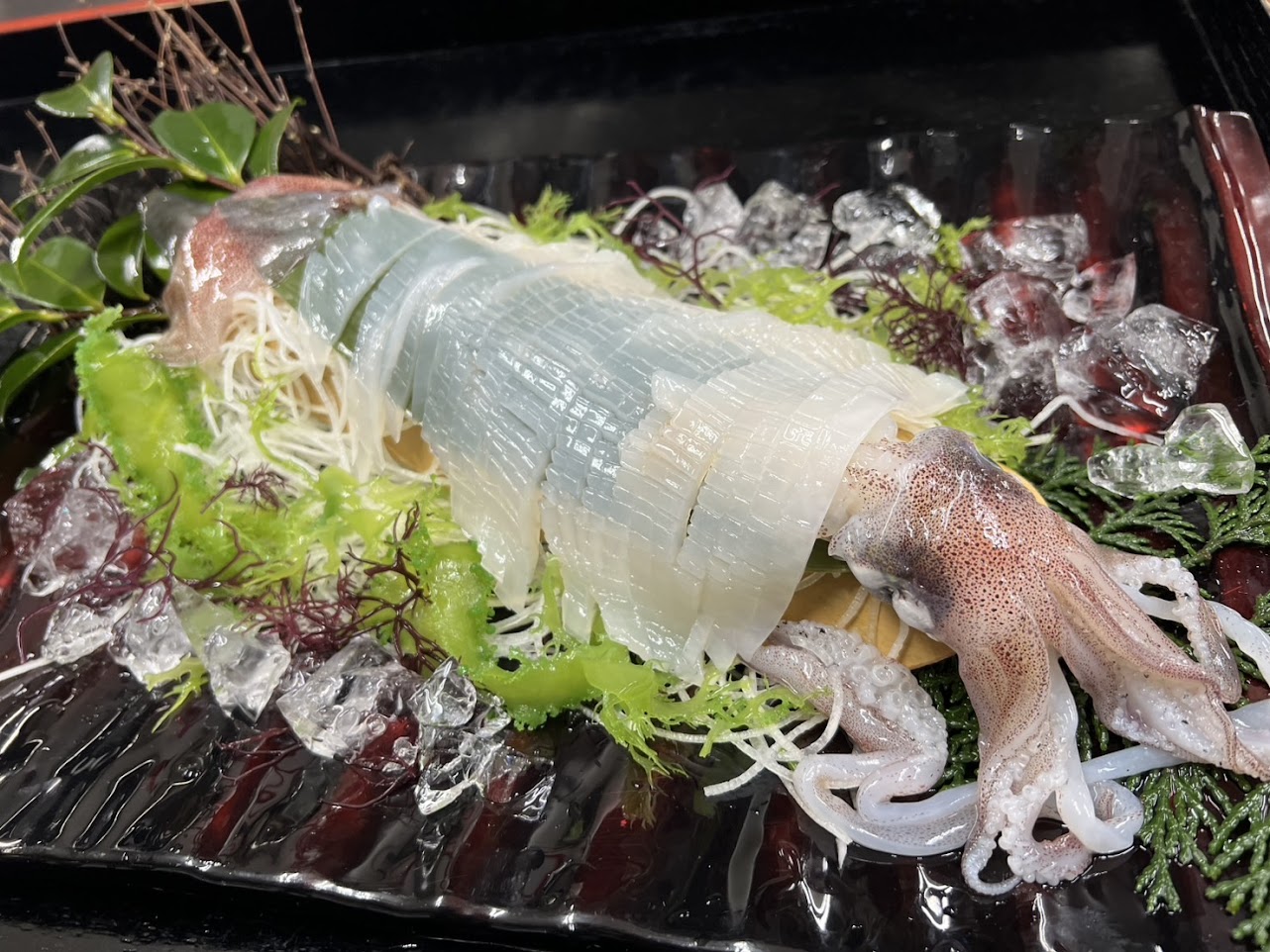 【HP限定価格】【初夏の新定番】京丹後イカ 漁火～ISARIBI～　日本海産の烏賊を味わう期間限定コース