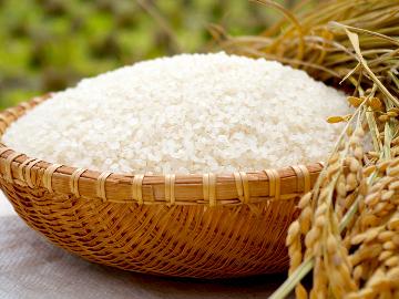 【期間限定・特典付】新米プレゼント!秘湯×会津牛×馬刺し×イワナの唐揚げでふくしま満喫プラン☆