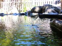 【年末年始特別プラン】1年の締めくくり、始まりに…源泉かけ流しの天然温泉でごゆるりと♪【1泊2食】