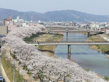 ★第41回ふくい桜まつり、お花見満喫！2食付プラン★