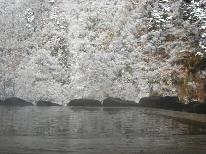 貸切無料！絶景露天を独り占め雪見露天を満喫プラン♪