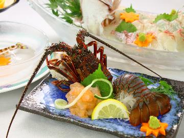【伊勢海老】☆期間限定☆オススメ伊勢海老お造り付きプラン♪