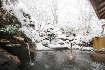 早め14時inの特典付★「平家あかり」で幻想的な冬の日光温もり旅♪大豆が染みる清盛特製「豆乳鍋」