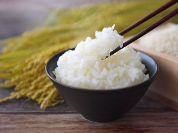 ◆1泊朝食◆朝から自家製コシヒカリで元気に出発♪夜もゆっくりチェックイン22時まで