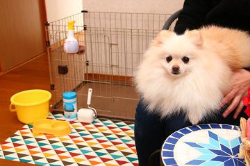 ★ワンちゃんと一緒にお泊まりはゆっくり別邸プラン2食付★貸切風呂無料☆