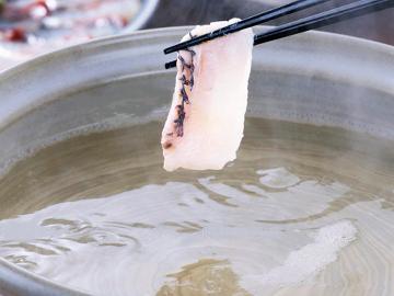 【季節限定】天草天然桜鯛の鯛しゃぶと旬の魚介を堪能する春の会席プラン【鯛しゃぶ】