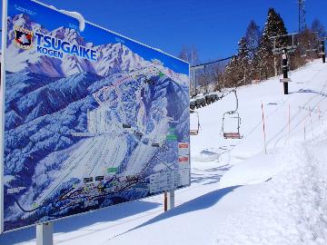 【リフト２日券付】 栂池高原スキー場のリフト券付き！とことん滑れる♪宿泊コミコミ一泊二食プラン
