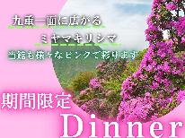 【インスタ映え！特典付】九重を鮮やかなピンクに染める「ミヤマキリシマ」。ディナーもピンクで彩ります♪