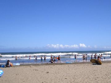 ≪夏限定≫海水浴場まで徒歩1分！着替えてビーチへGO！ボリューム満点☆自慢のお料理でおもてなし【2食付】...