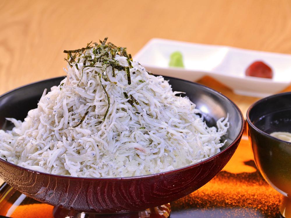 【セレクトプラン】釜揚げしらす丼　or　紀州有田のボリューム盛天丼