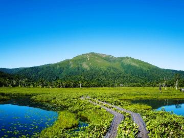 【尾瀬トレッキング・登山】早朝出発OK！特典付◆本州最大の湿原尾瀬ヶ原や日本百名山を登る◆素泊り