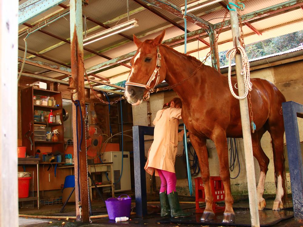 素泊まり◆1棟貸しコテージ！自然に囲まれた川根町の宿
