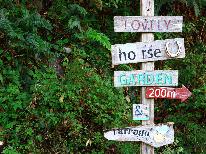 朝食付◆お弁当スタイルの朝ごはん♪乗馬体験は事前予約でOK！