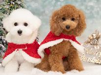 ★12/23，24，25限定★ワンちゃんと一緒に過ごすXmas/夕食付プラン