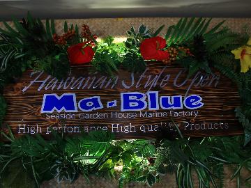 Ma-BlueGardenHouse