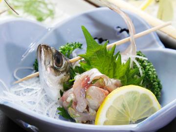 【ちょい釣り企画】釣った魚を調理サービス特典付☆焼くのかお造りなのか煮るのかご希望に合わせて-2食付-