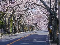 【伊豆高原◆桜旅】当館目の前は桜の名所!桜舞う「桜ご飯」の和朝食!夕食は伊豆牛ステーキを堪能♪
