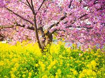 【河津桜まつり】グラスワイン特典付◇桜舞う「桜ご飯」の和朝食!夕食は伊豆牛ステーキ♪
