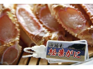 <GoToトラベルキャンペーン割引対象>期間限定・地物【ブランド活ガニ】を全て使った本場カニフルコース