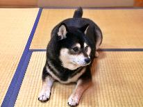 ★【ペットOK】大切な家族の一員！ワンちゃんと一緒に珠洲旅行♪愛犬と寛ろげるお部屋で安心。。